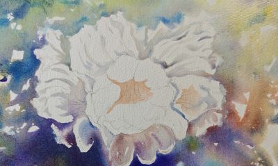 追光逐影，水彩杜鹃花 - 图画吧TUHUABA