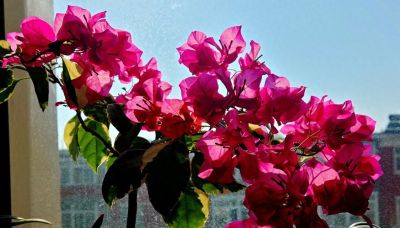 人间素描： - 今日头条