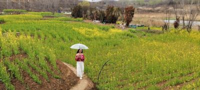 Color Walk正流行！收好这份郑州春日色彩图鉴，解锁“多巴胺”城市漫游 - 今日头条