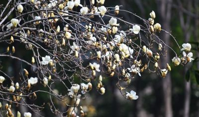 Color Walk正流行！收好这份郑州春日色彩图鉴，解锁“多巴胺”城市漫游 - 图画吧TUHUABA