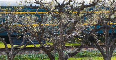 Color Walk正流行！收好这份郑州春日色彩图鉴，解锁“多巴胺”城市漫游 - 图画吧TUHUABA