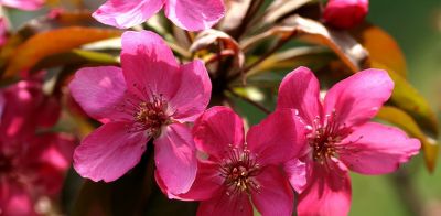 Color Walk正流行！收好这份郑州春日色彩图鉴，解锁“多巴胺”城市漫游 - 图画吧TUHUABA