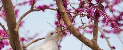 Color Walk正流行！收好这份郑州春日色彩图鉴，解锁“多巴胺”城市漫游 - 图画吧TUHUABA