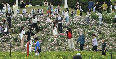 Color Walk正流行！收好这份郑州春日色彩图鉴，解锁“多巴胺”城市漫游 - 图画吧TUHUABA