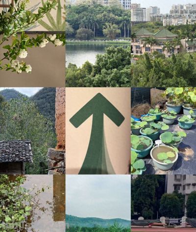 用“色彩漫步”打开春天，看“找颜色”如何治愈人心 - 今日头条