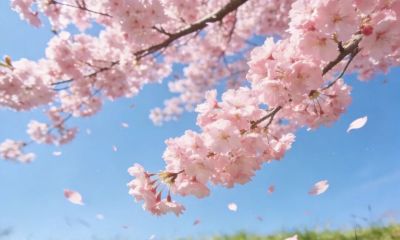 色彩搭配，让春景照片更有视觉冲击力 - 图画吧TUHUABA