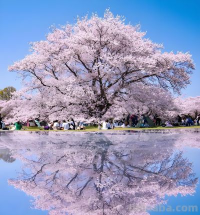把照片拍好看，没啥难度，6个摄影技巧，手机相机都能用 - 图画吧TUHUABA