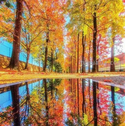 把照片拍好看，没啥难度，6个摄影技巧，手机相机都能用 - 图画吧TUHUABA