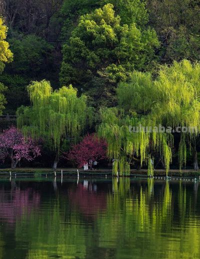 别再浪费你手机的好相机了！8个技巧让你拍出“碾压朋友圈”的大片 - 图画吧TUHUABA