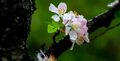 别再浪费你手机的好相机了！8个技巧让你拍出“碾压朋友圈”的大片 - 图画吧TUHUABA