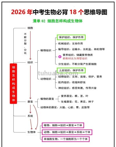 生物老师:18张思维导图,收藏给孩子吃透了,会考就能冲年级第一 - 今日头条 生物老师:18张思维导图,收藏给孩子吃透了,会考就能冲年级第一 - 图画吧TUHUABA