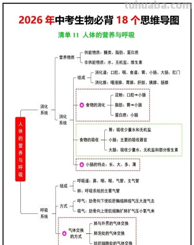 生物老师:18张思维导图,收藏给孩子吃透了,会考就能冲年级第一 - 今日头条 生物老师:18张思维导图,收藏给孩子吃透了,会考就能冲年级第一 - 图画吧TUHUABA
