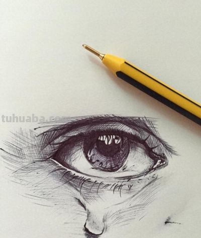 分享素描手绘 - 今日头条