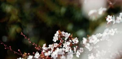 摄影教程｜这三点知识不会等于不会摄影 - 图画吧TUHUABA