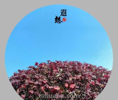 摄影教程｜这三点知识不会等于不会摄影 - 图画吧TUHUABA