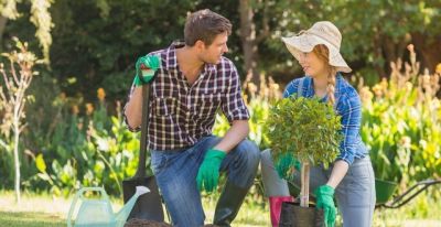 绿色生活方式：从家中种植开始 - 图画吧TUHUABA