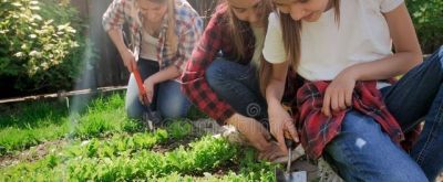 绿色生活方式：从家中种植开始 - 图画吧TUHUABA