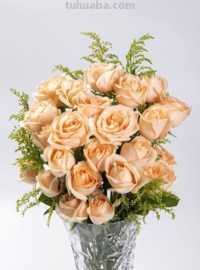 纯洁还是绝恋？玫瑰颜色花语秘密大揭秘 - 图画吧TUHUABA