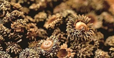 从玄皂到元青 ——黑的色彩文化史 - 图画吧TUHUABA