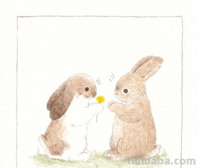 治愈系插画师 Rebecca Cowley：温柔笔触里的童话日常 - 今日头条