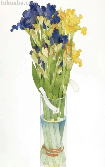 美国画家盖瑞·布科夫尼克的水彩作品 - 图画吧TUHUABA