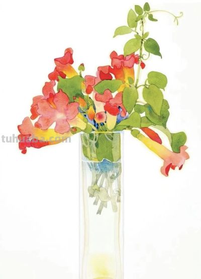 美国画家盖瑞·布科夫尼克的水彩作品 - 图画吧TUHUABA