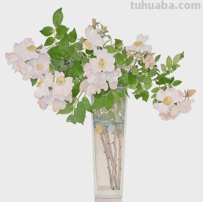 美国画家盖瑞·布科夫尼克的水彩作品 - 图画吧TUHUABA