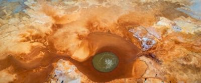 自然与科学：共生的生命诗篇 - 今日头条