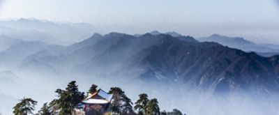 陕西四月春雪速写 - 今日头条