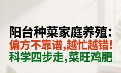 阳台种菜家庭养殖：偏方不靠谱，越忙越错！科学四步走，菜旺鸡肥 - 今日头条