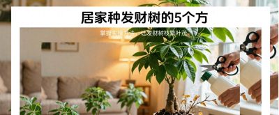 发财树枝繁叶茂？有手就会 - 今日头条