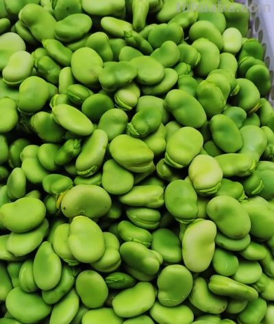 五一前后，这10种蔬菜营养丰富赶紧吃，错过等一年 - 图画吧TUHUABA