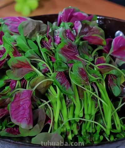 五一前后，这10种蔬菜营养丰富赶紧吃，错过等一年 - 图画吧TUHUABA