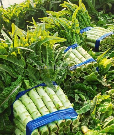 五一前后，这10种蔬菜营养丰富赶紧吃，错过等一年 - 图画吧TUHUABA