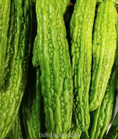 五一前后，这10种蔬菜营养丰富赶紧吃，错过等一年 - 图画吧TUHUABA