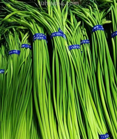 五一前后，这10种蔬菜营养丰富赶紧吃，错过等一年 - 图画吧TUHUABA