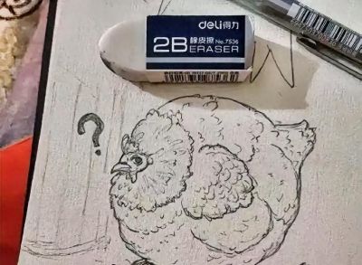 孩子画奶奶家鸡却被批评太圆不及格 - 今日头条