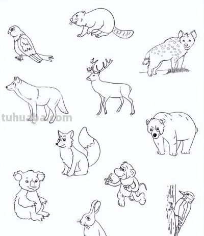 2000个动物简笔画线稿，收藏备用 - 图画吧TUHUABA
