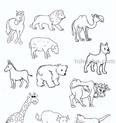 2000个动物简笔画线稿，收藏备用 - 图画吧TUHUABA