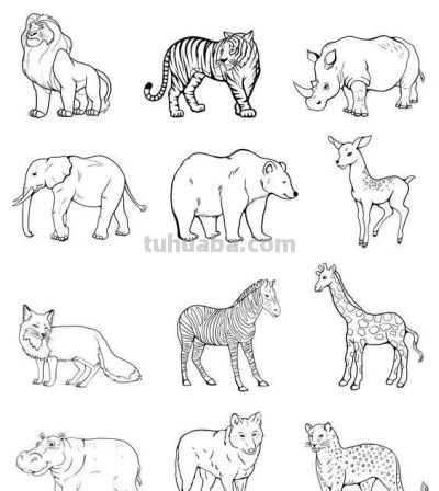 2000个动物简笔画线稿，收藏备用 - 图画吧TUHUABA