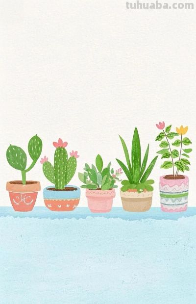 萌趣小盆栽插画集 - 今日头条