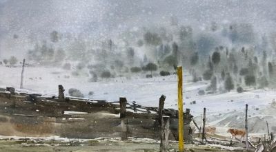 何万太·水彩艺术 | 旧雪与老树的呼吸，藏着生活最柔软的坚韧 - 图画吧TUHUABA