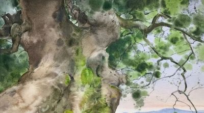 何万太·水彩艺术 | 旧雪与老树的呼吸，藏着生活最柔软的坚韧 - 图画吧TUHUABA