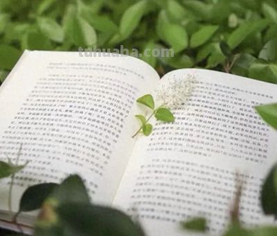 墨香润少年·书香阅世界 | 秀中七年级世界读书日创意手抄报大赛 - 今日头条