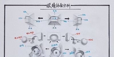 学素描头像入门必备，详细讲解。 - 今日头条