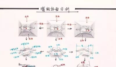 学素描头像入门必备，详细讲解。 - 图画吧TUHUABA