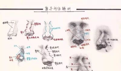 学素描头像入门必备，详细讲解。 - 图画吧TUHUABA