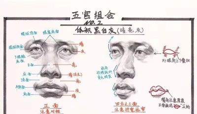 学素描头像入门必备，详细讲解。 - 图画吧TUHUABA