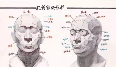 学素描头像入门必备，详细讲解。 - 图画吧TUHUABA