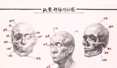 学素描头像入门必备，详细讲解。 - 图画吧TUHUABA